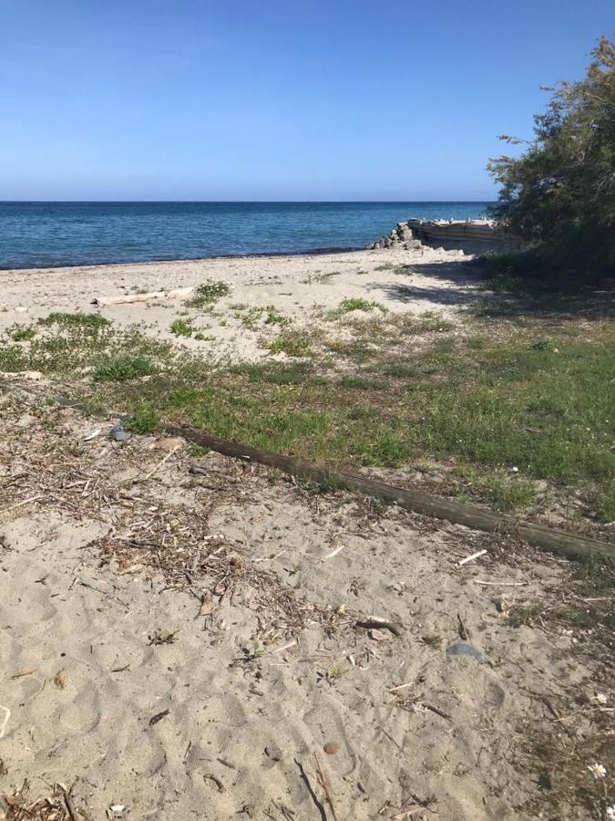 Corsica Studio Face A La Mer Moriani Plage Apartment San-Nicolao Luaran gambar