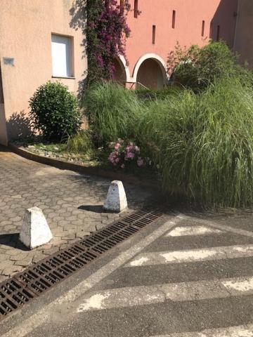 Corsica Studio Face A La Mer Moriani Plage Apartment San-Nicolao Luaran gambar